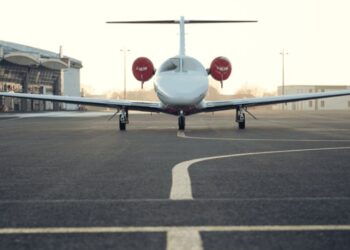 business success statistics